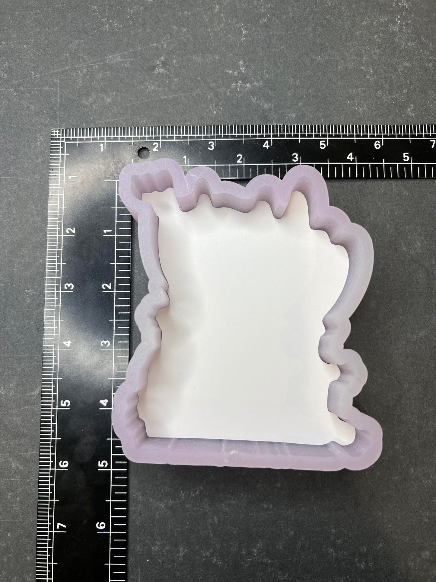 Everyone an Outlaw Cardstock Silicone Mold