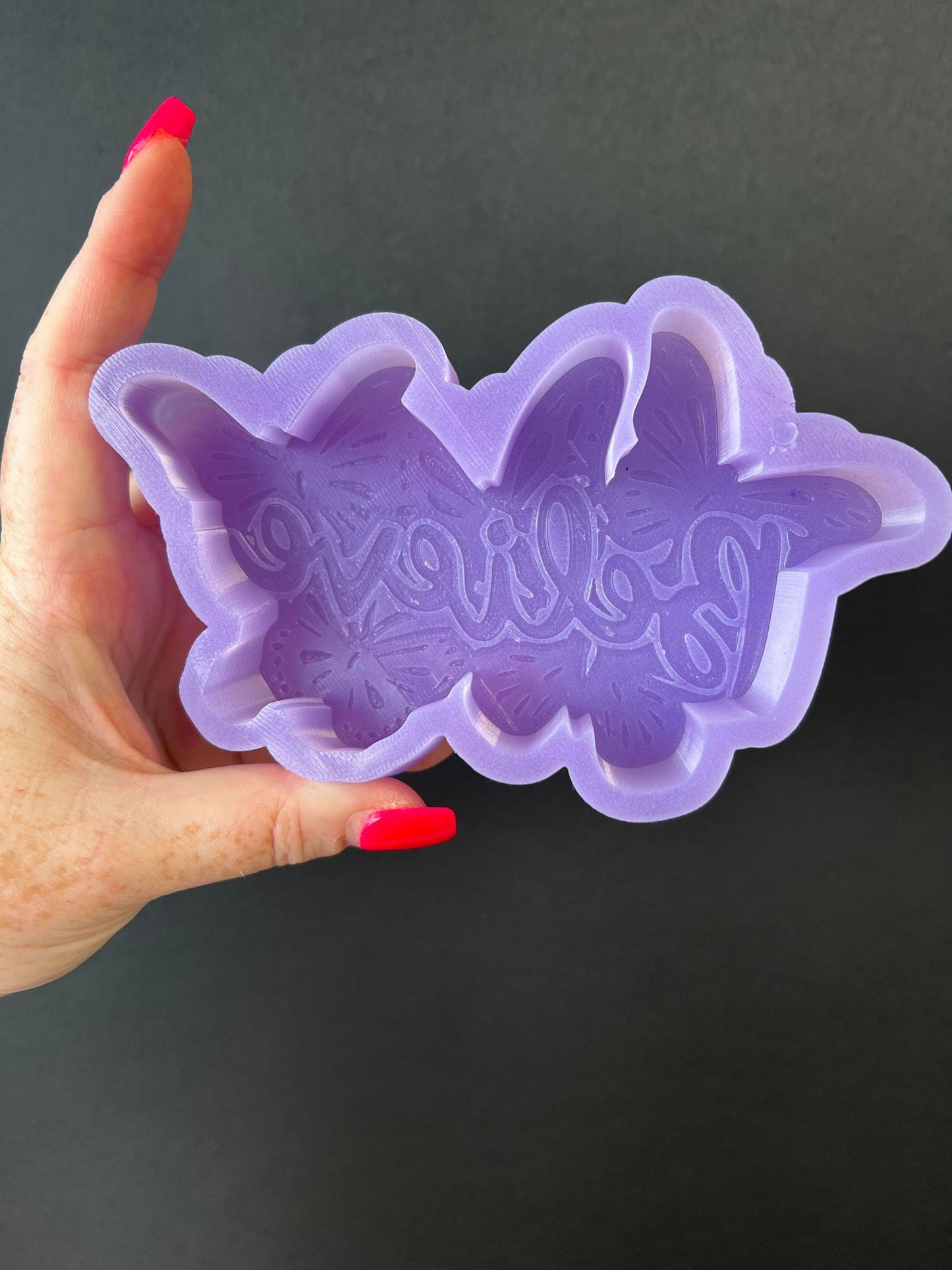 Believe Butterfly Silicone Mold