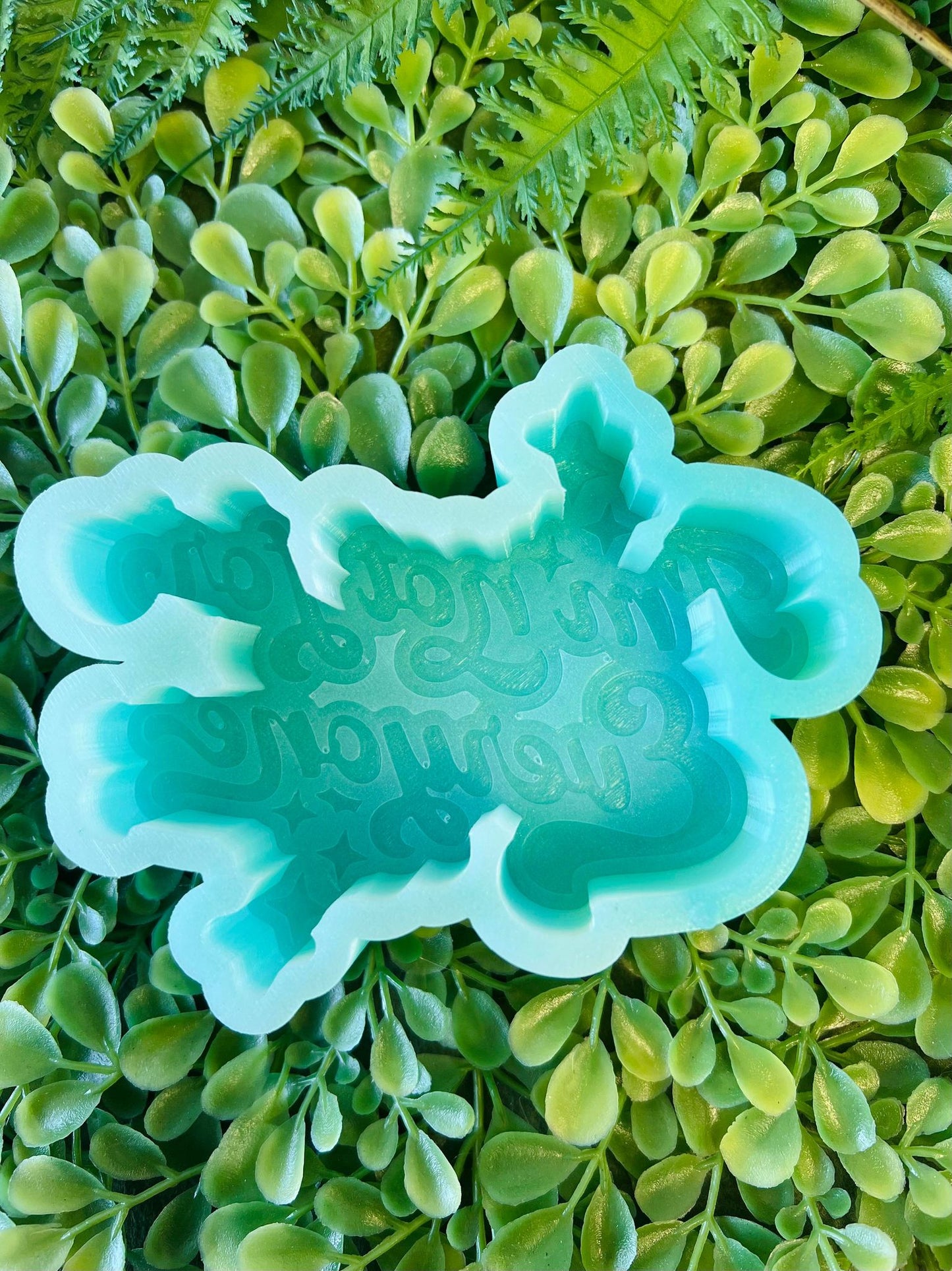 I'm Not for Everyone Silicone Mold