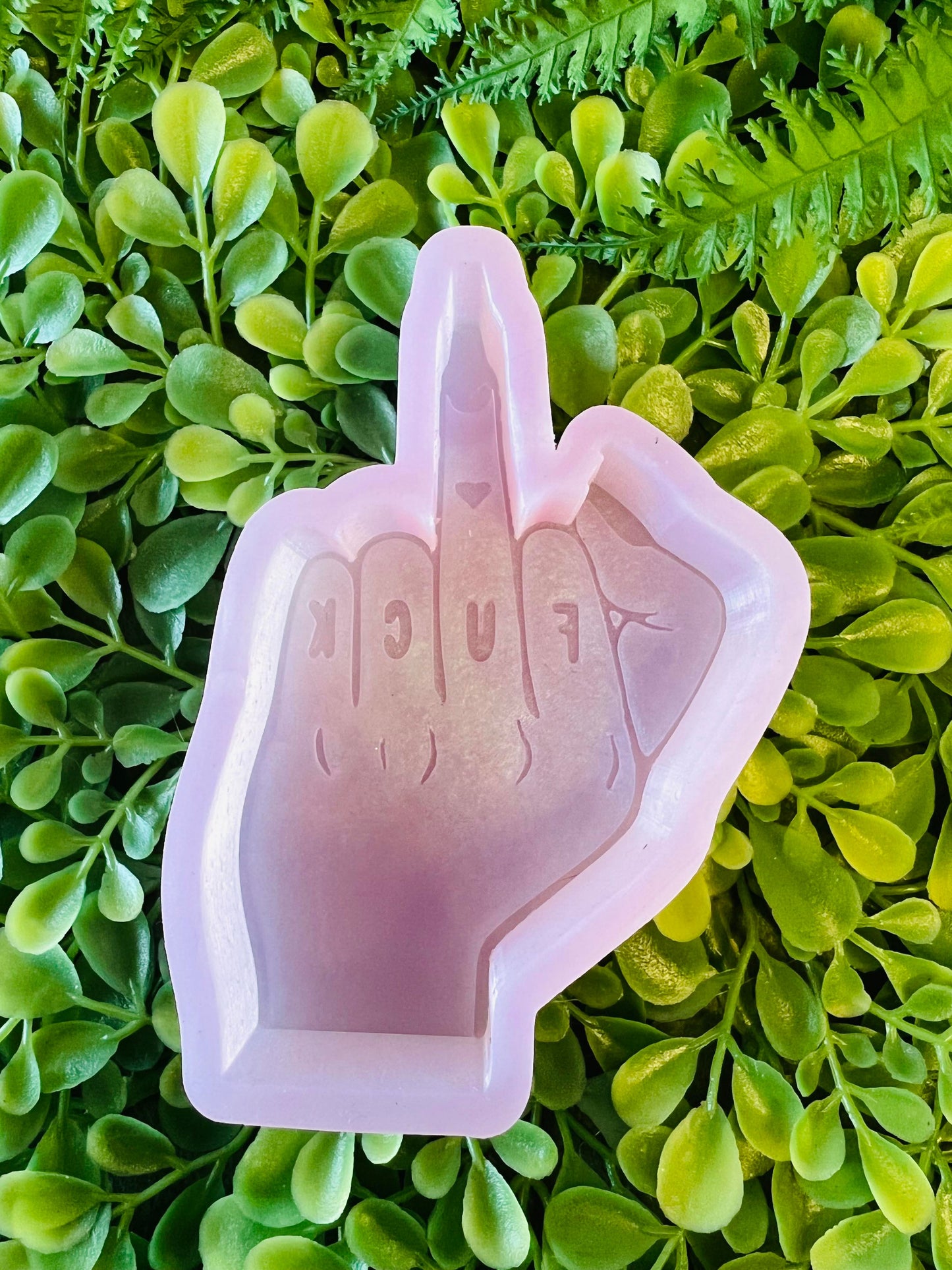F You Flipping Hand Silicone Mold