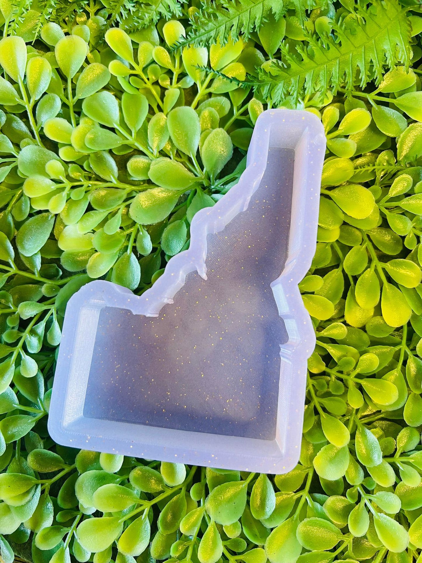 Simple Idaho Silicone Mold