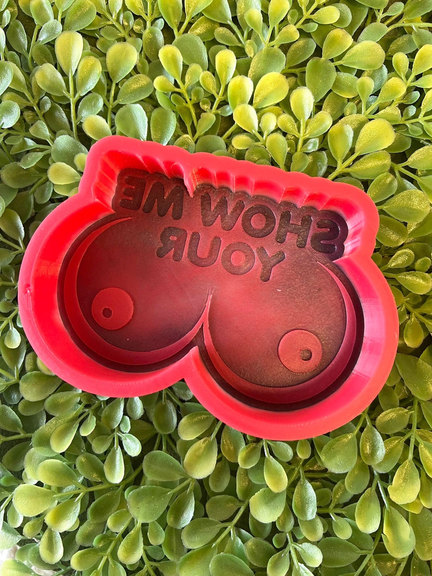 Show Me Your Titties Silicone Mold