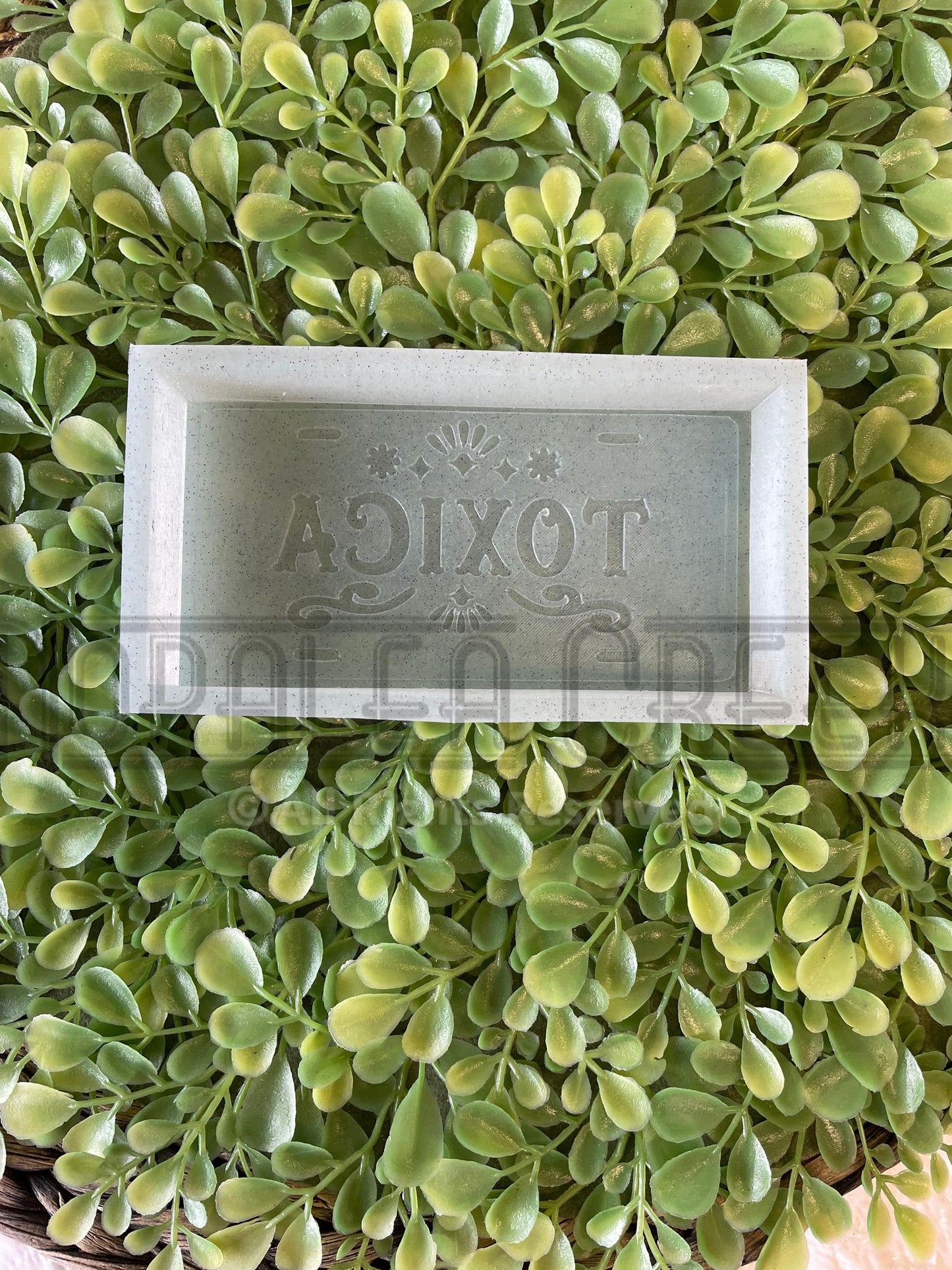 Toxica License Plate Silicone Mold©