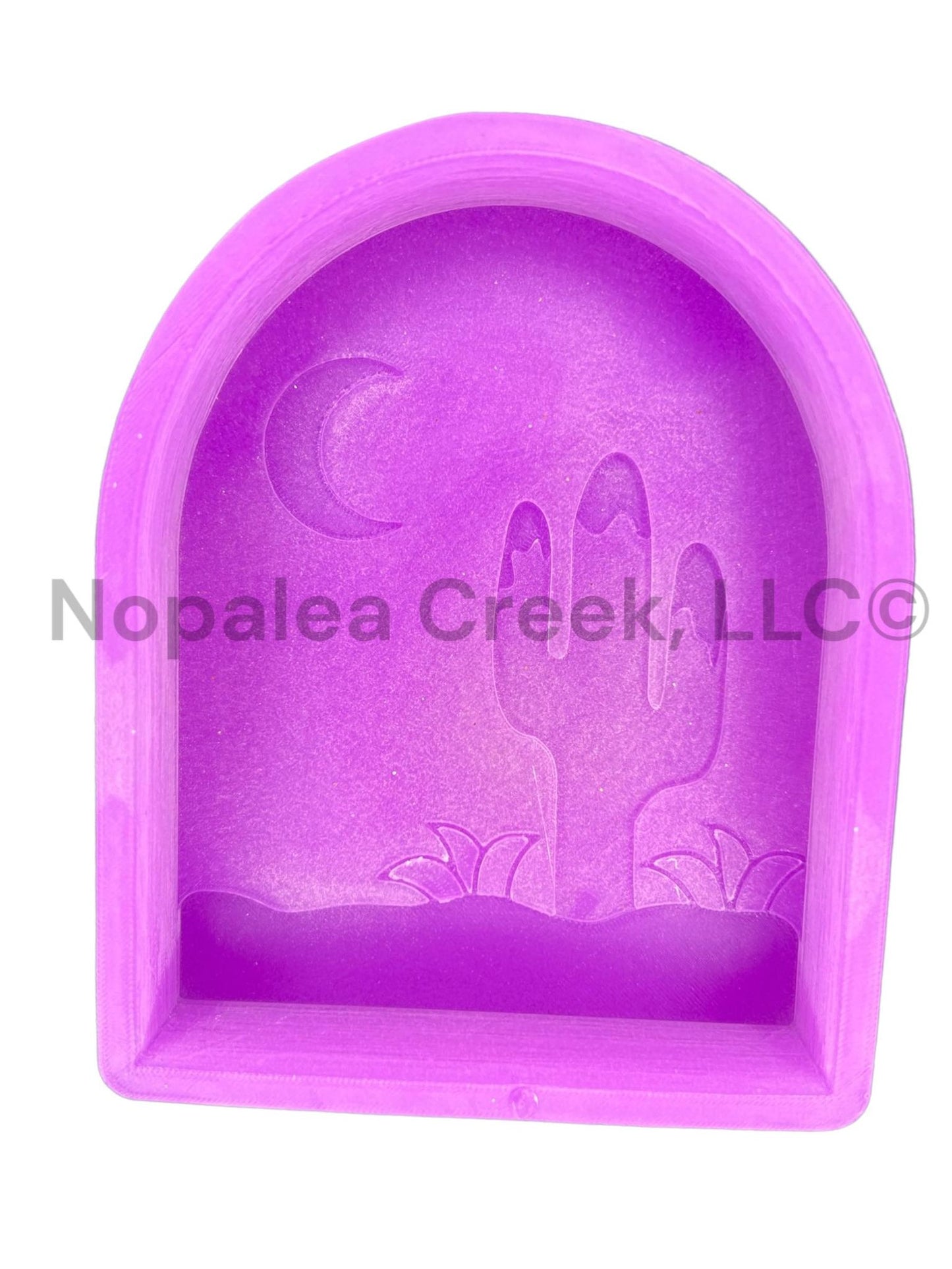 Winter in the Desert Silicone Mold©