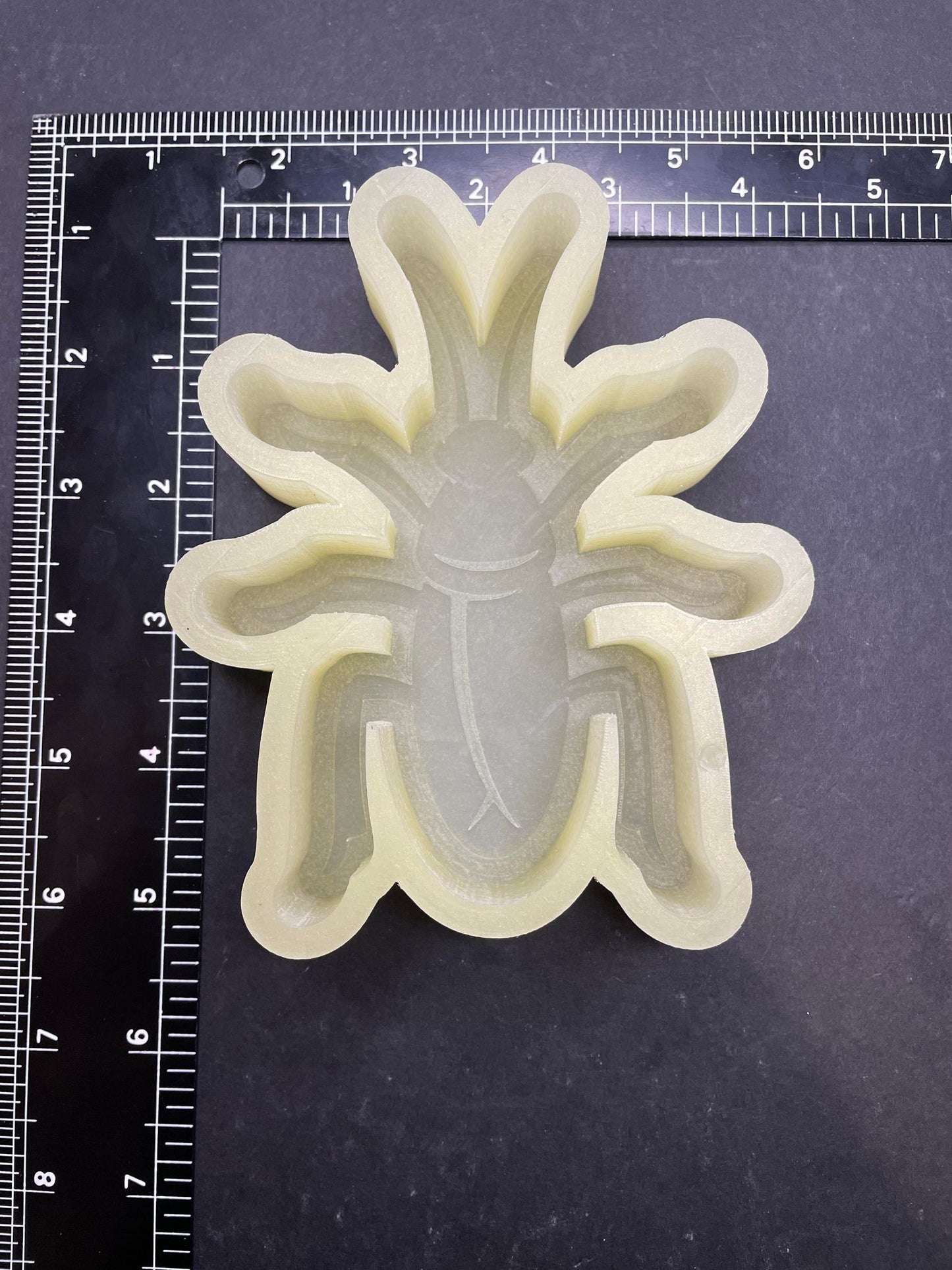 Cockroach Silicone Mold