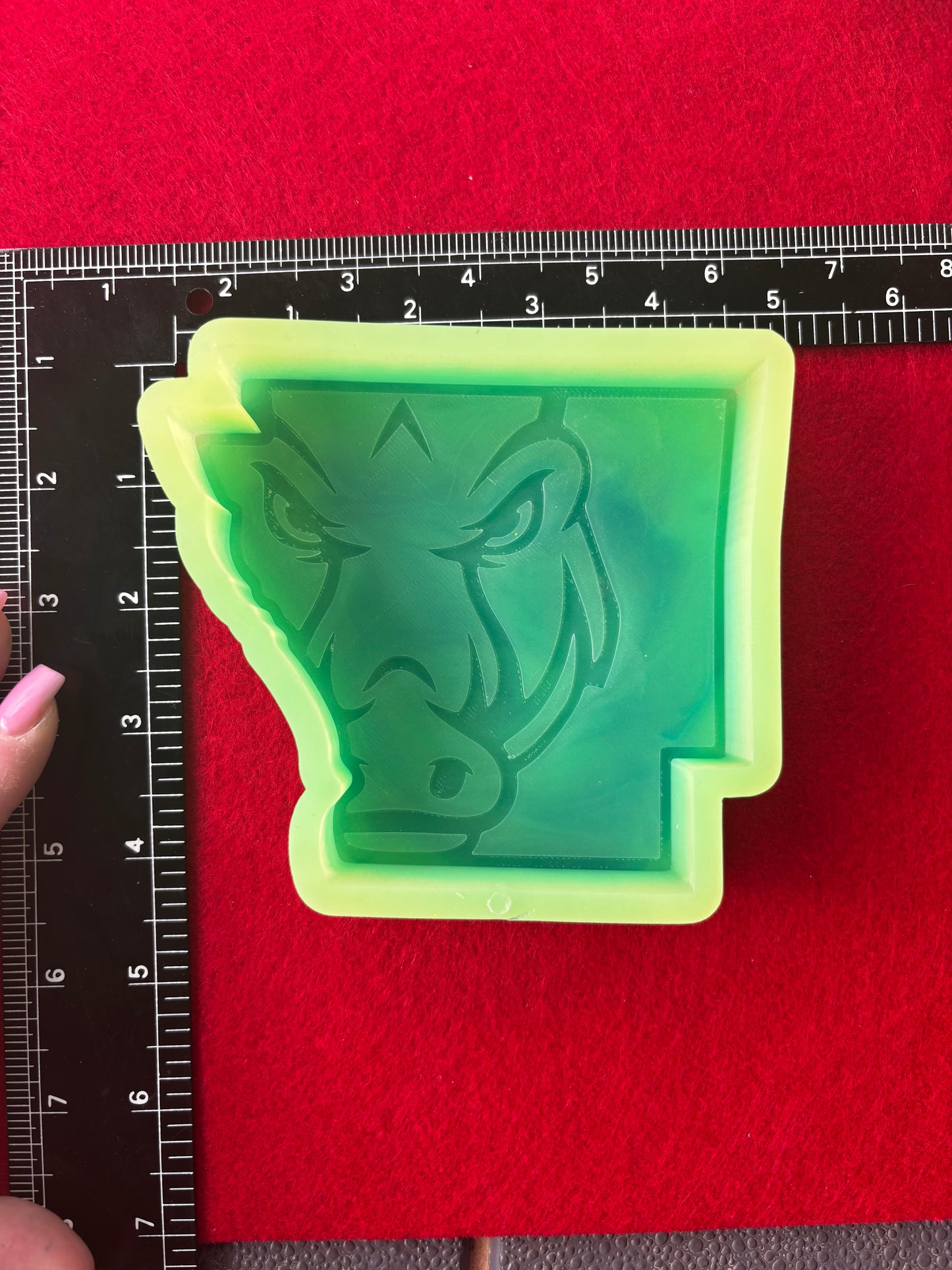 Arkansas Pig Silicone Mold