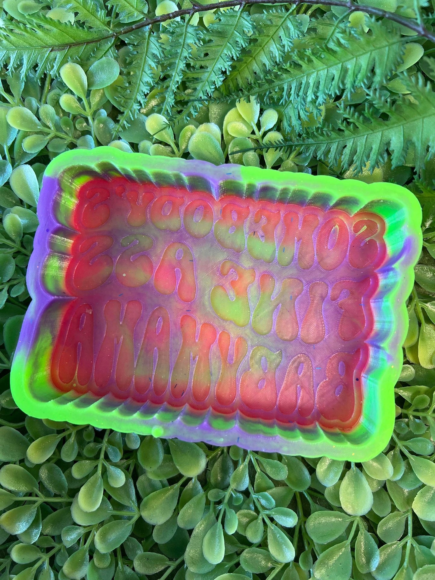 Somebody's Fine Ass Babymama Silicone Mold