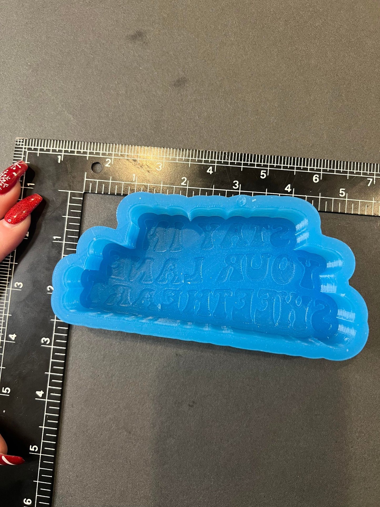 Stay in Your Lane Silicone Mold©