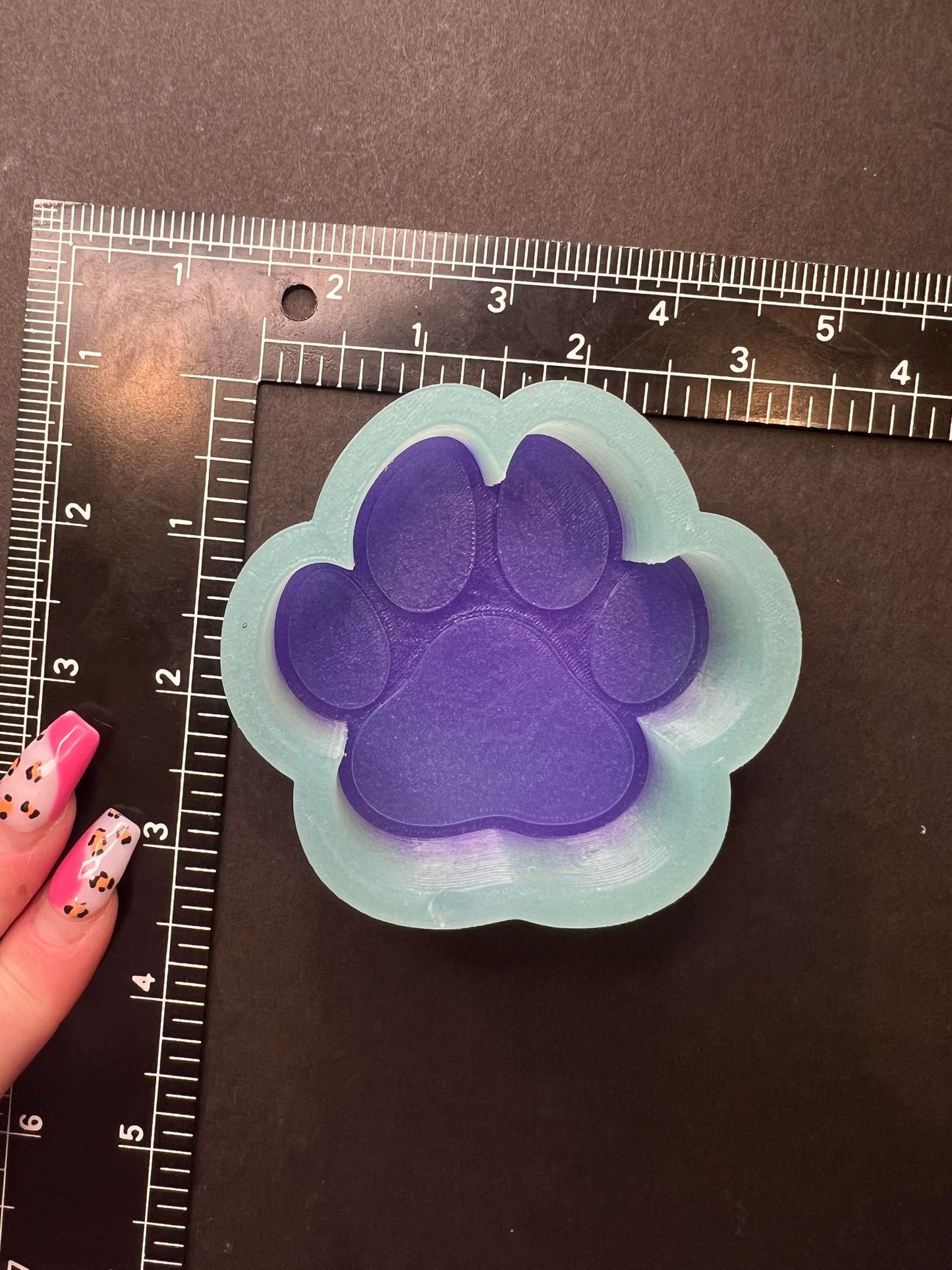 Paw Print Silicone Mold